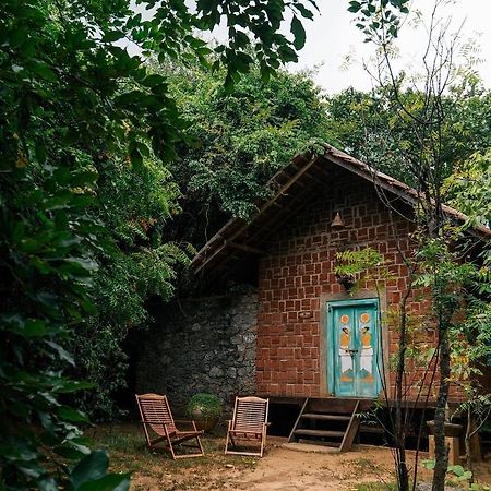 vihanga village Dambulla Luaran gambar